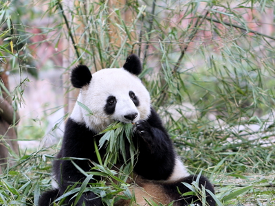 Route China, 32 dagen - Day 15