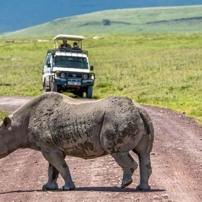 Groepsrondreis Kenia, Tanzania en Zanzibar hotel/lodge