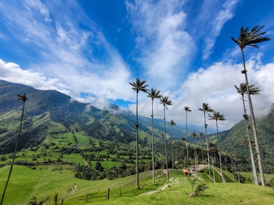 2025 Route Colombia, 23 dagen oud - Day 9