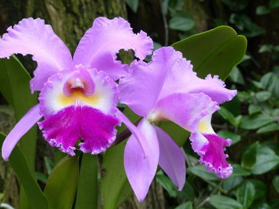 Route Guatemala, 21 dagen - Day 2