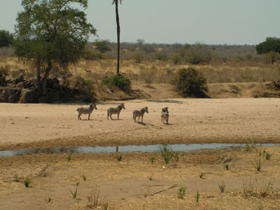 Route Zambia, Malawi en Tanzania, 24 dagen - Dag 14