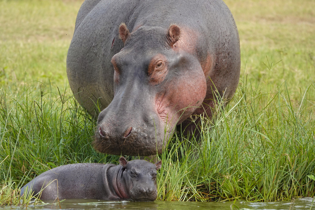 main_5c436c817495a-1.jfif