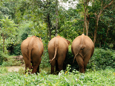 Route Cambodja en Thailand, 21 dagen - Day 6