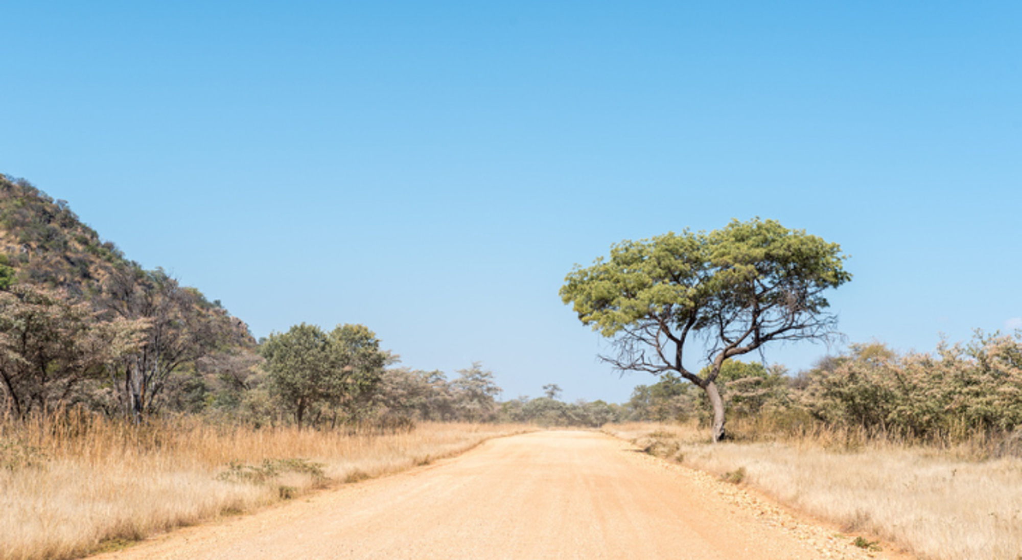 Omgeving van Grootfontein, Namibië