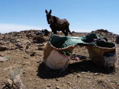 Route Marokko, 13 dagen - Dag 2