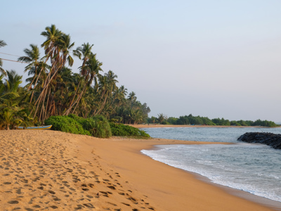 Route Sri Lanka, 16 dagen - Dag 15