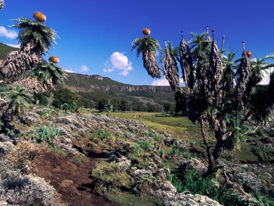 Route Ethiopië, 29 dagen - Day 13