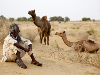 Route Rajasthan & Gujarat, 20 dagen - Dag 10