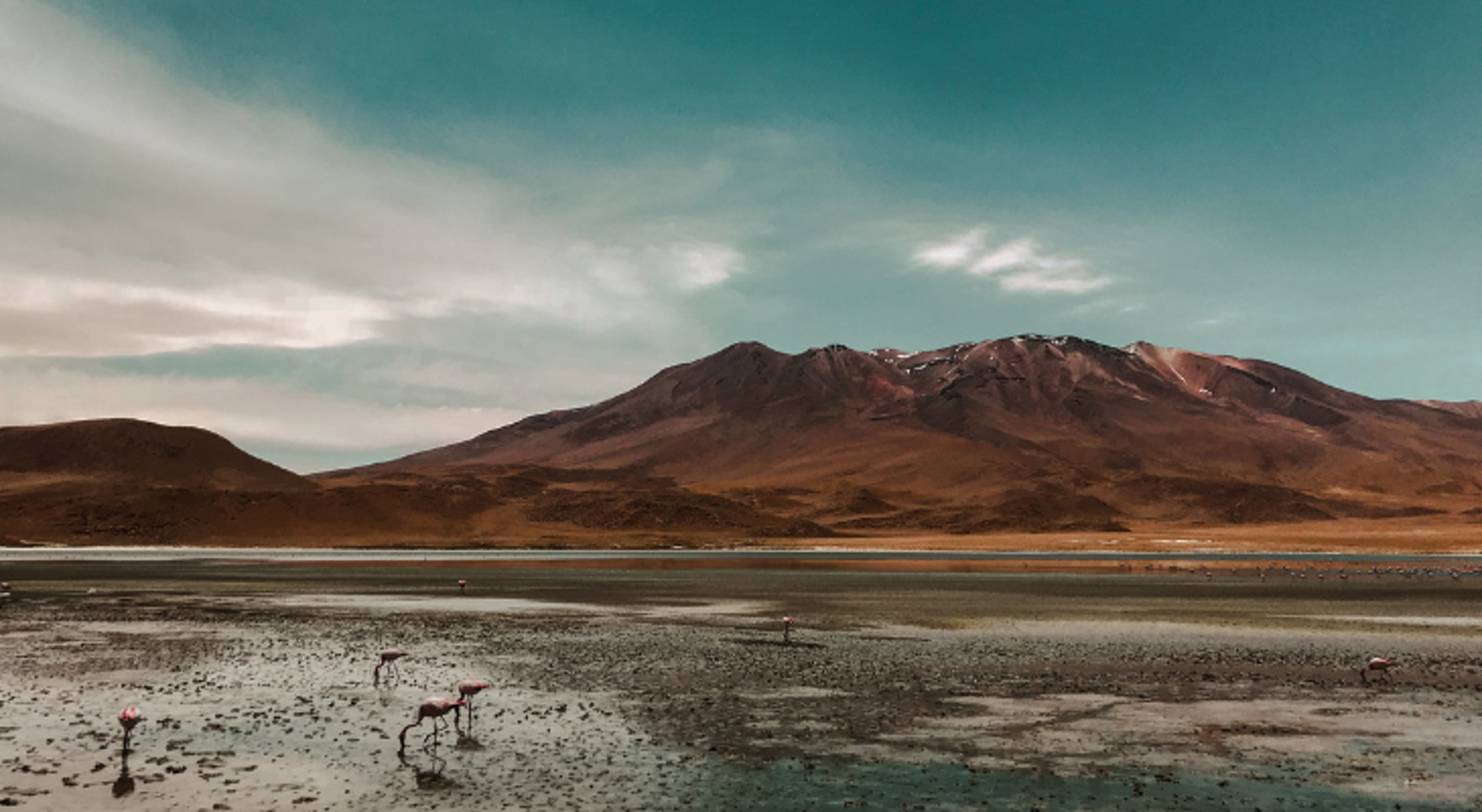 Salar de Uyuni Flamingo’s in een zoutmeer op de Boliviaanse Altiplano, met bergen op de achtergrond.