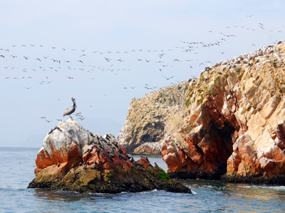 Route Peru, 22 dagen - Day 2