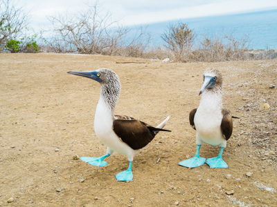 Vertrek 21 november 2020 - Day 19