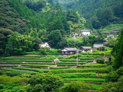 Route Japan, 20 dagen - Day 13