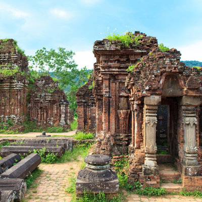 My Son (excl. entree)