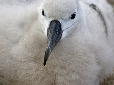 Antarctica Route - Dag 14