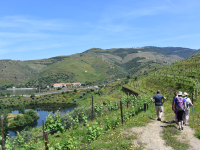 Route 8 daagse wandelvakantie Douro Vallei - Day 3