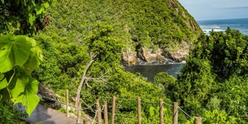 Groepsrondreis Zuid-Afrika Tuinroute