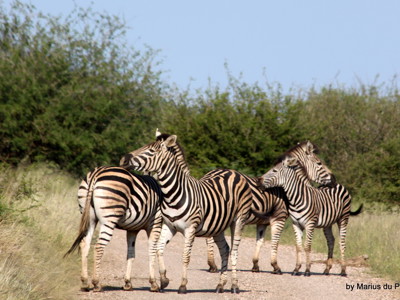 Route Kaapstad - Johannesburg - Dag 19