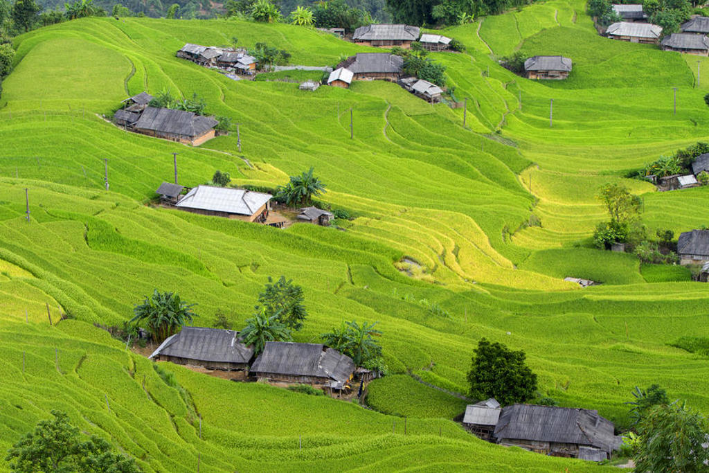 main_shutterstock_338651105_Ha_Giang.jpg