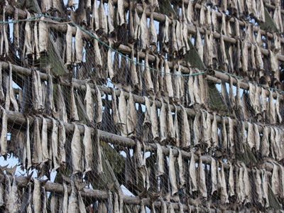 Zeilreis met de Antigua 2020 - Dag 3