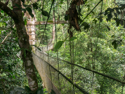 Route Maleisisch Borneo, 21 dagen - Dag 12