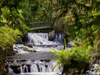 Route Costa Rica Hoogtepunten - Day 6