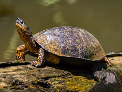 Route Costa Rica Hoogtepunten - Day 2