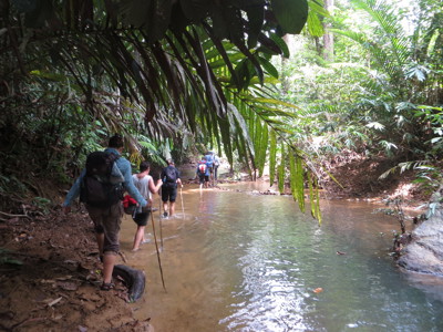 Route Maleisisch Borneo, 23 dagen - Dag 7