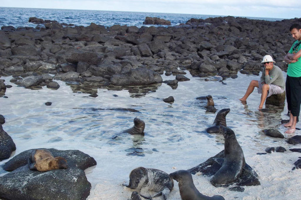 main_Galapagos5.jpg