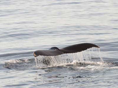 Route Zuidwaarts - Dag 13