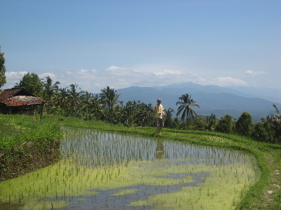 Route Bali en Lombok, 16 dagen - Dag 4
