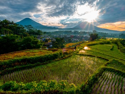 22-35 Indonesië: Java en Bali - Day 5
