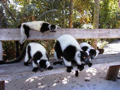 Route Madagascar 2020, 22 dagen - Dag 3