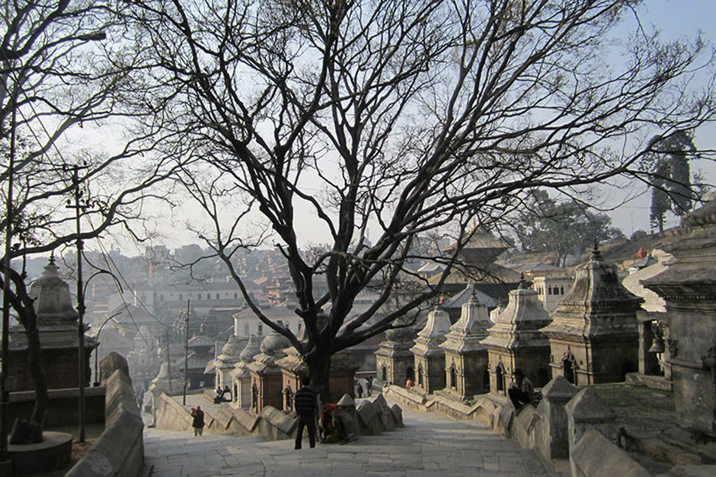 Familiereis India en Nepal Kathmandu