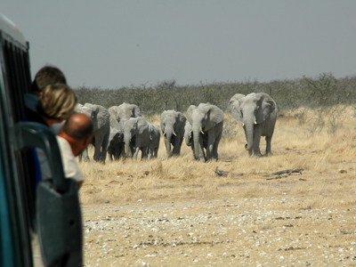 Route Namibië, 19 dagen - Dag 16