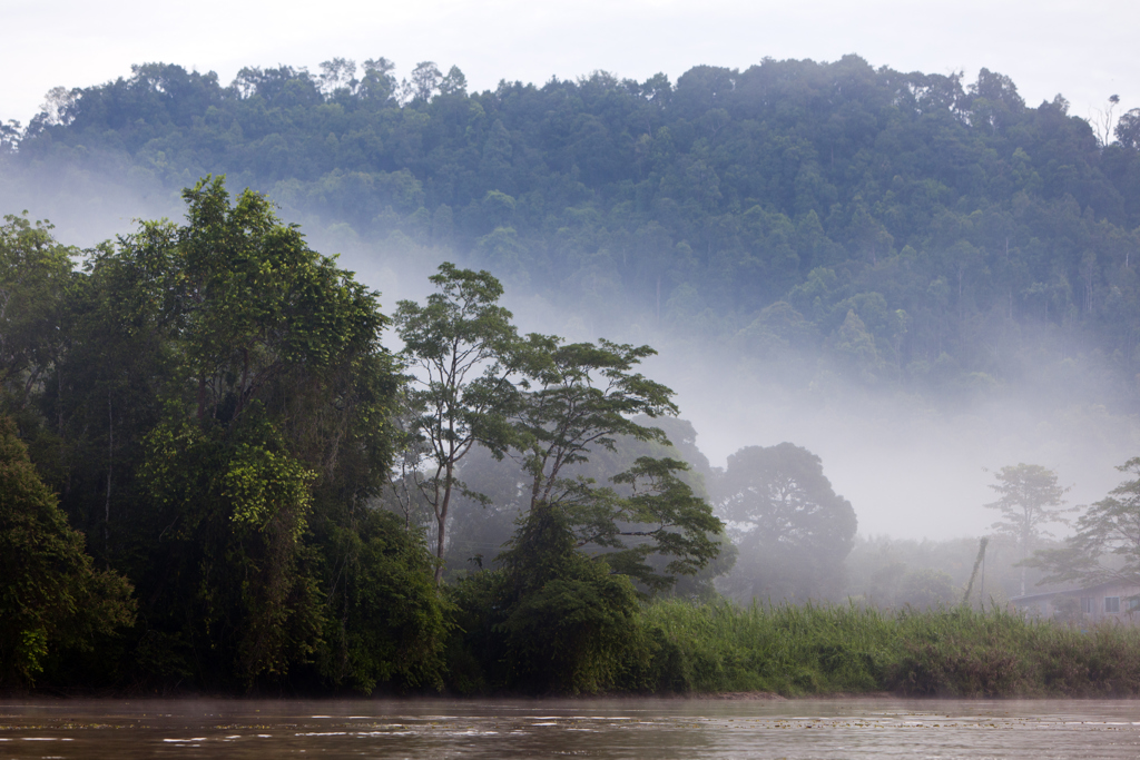 Familiereis Maleisisch Borneo nationaal park