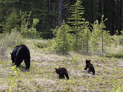 Route Canada, 22 dagen - Day 9