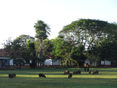 Route van Buenos Aires naar Rio - Day 12