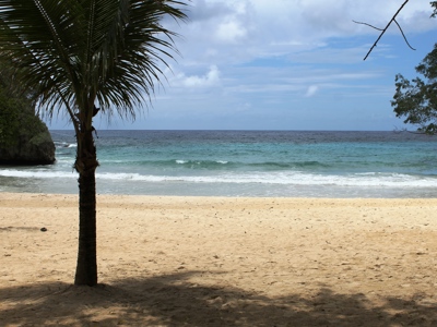 Route Jamaica, 16 dagen - Day 7