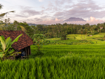 Route Bali, 18 dagen - Day 5