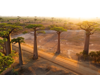 Route Madagascar, 25 dagen - Dag 1