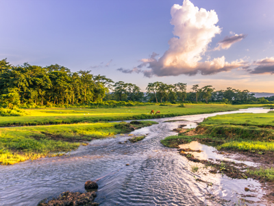 Nepal 22-35, 18 dagen - Day 12