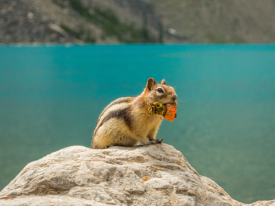 Route Canada, 20 dagen - Day 2