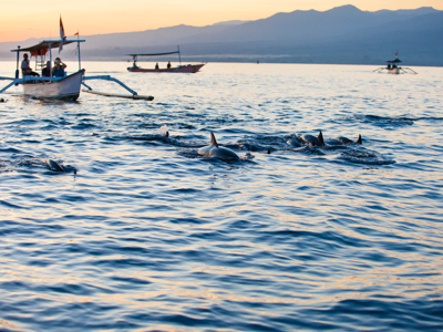 Route - Bali & Sulawesi, 23 dagen - Day 7