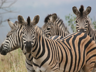 Route Johannesburg - Kaapstad, 24 dagen - Dag 14