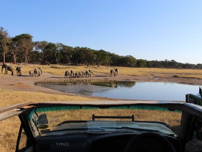 Reisroute Zimbabwe, 22 dagen - Dag 12