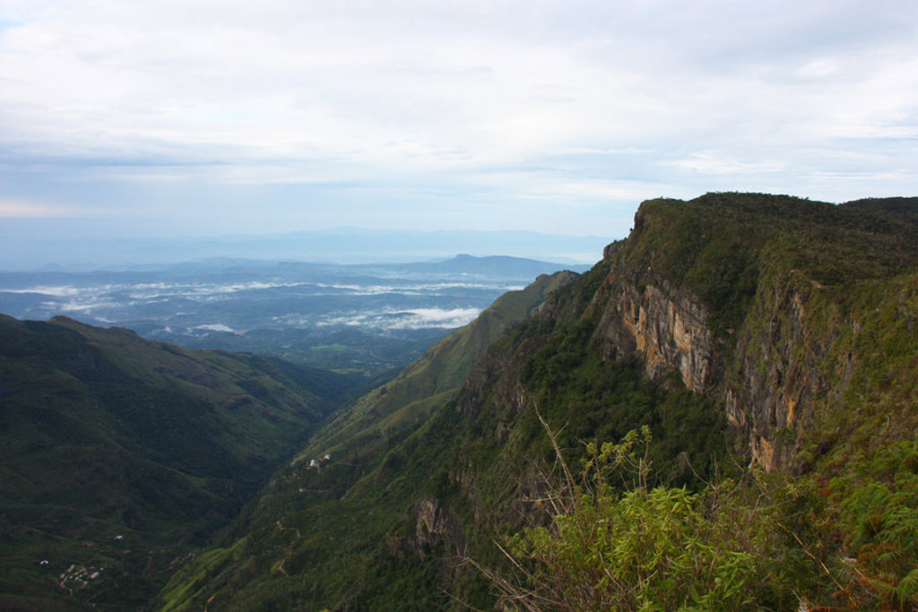 main_Jesse_van_der_Vaart_-_SLH701_-_Sri_Lanka__112_.jfif