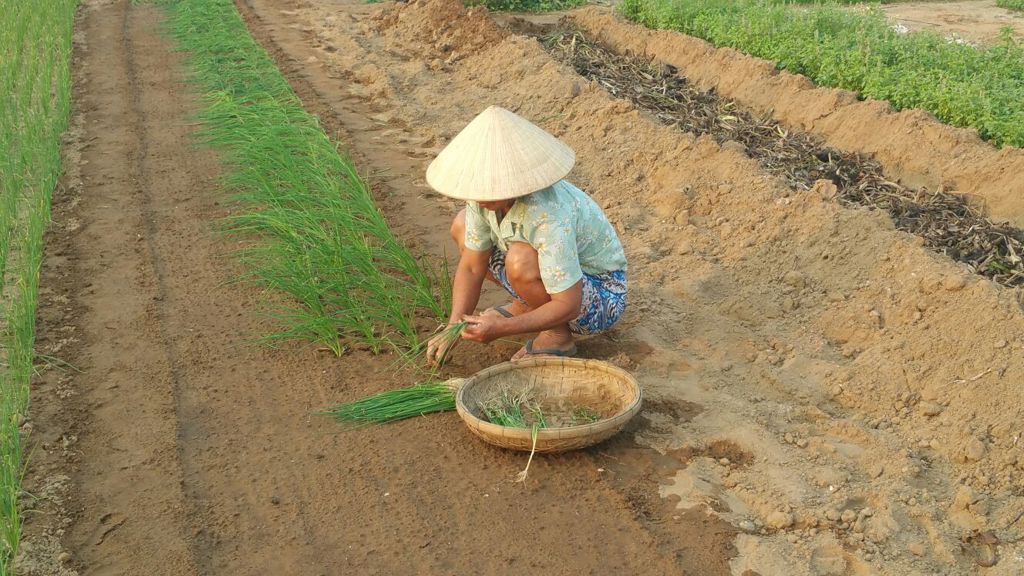 Hoi An - Lokale bevolking  - J