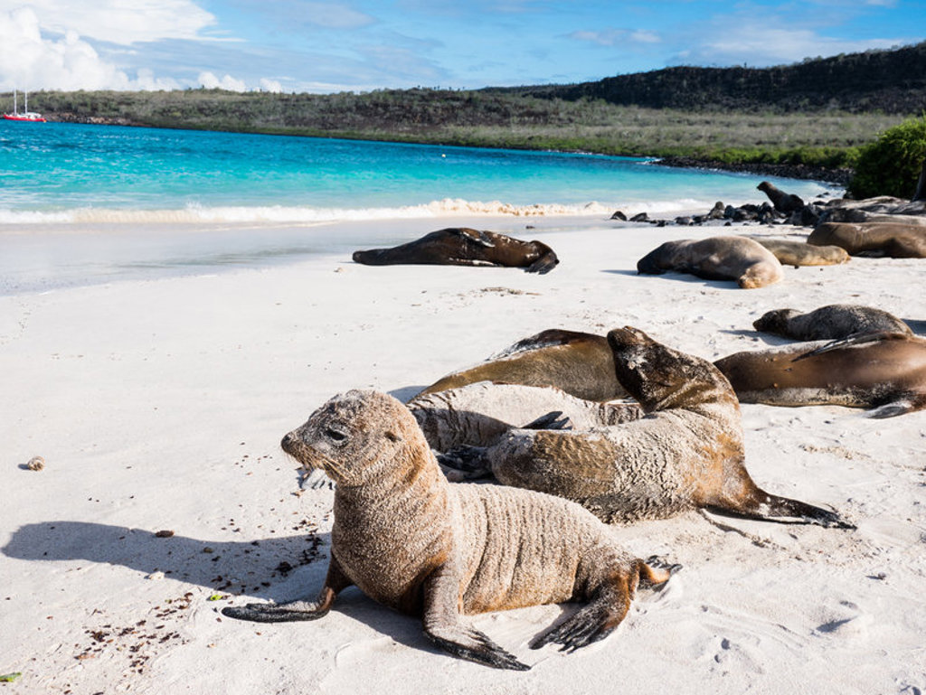 main_shutterstock_292364432_Galapagos.jpg