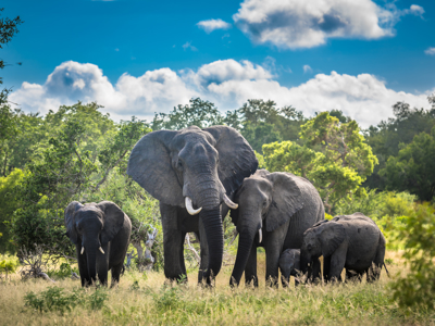 Route Kaapstad - Johannesburg - Dag 10
