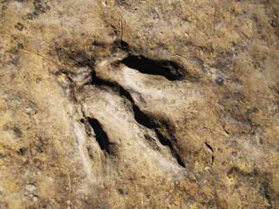 Georgië familiereis - Day 8